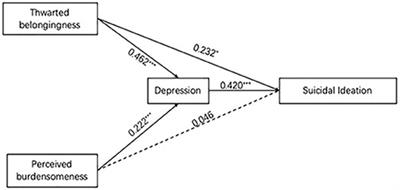 The Mediating Effect of Depression on the Relation Between Interpersonal Needs and Suicidal Ideation Among Chinese Transgender Women